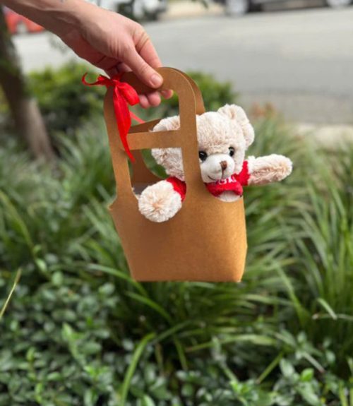 Teddy Bear 30cm